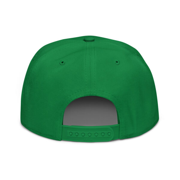 snapback kelly green back 688a6ca7e0599.jpg